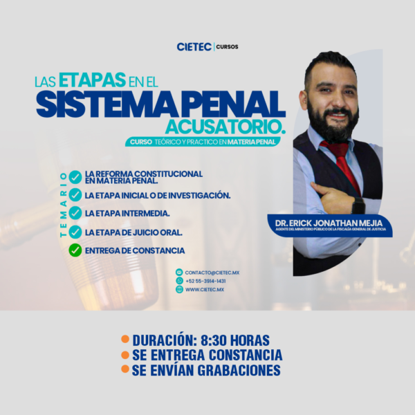 LAS ETAPAS EN EL SISTEMA PENAL ACUSATORIO – Curso Teórico y Practico en ...